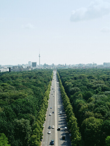 Luftaufnahme vom Tiergarten mit Berlins Skyline im Hintergrund